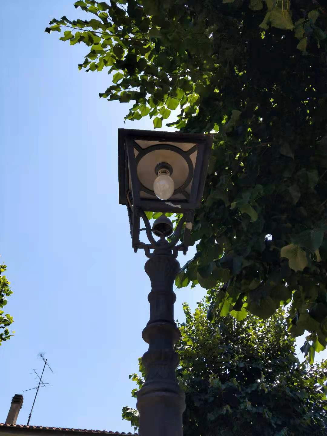 25W E40 ED90 LED Filament Street Light Bulb (Coated)